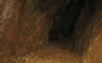 houwet-baskinta-08.jpg